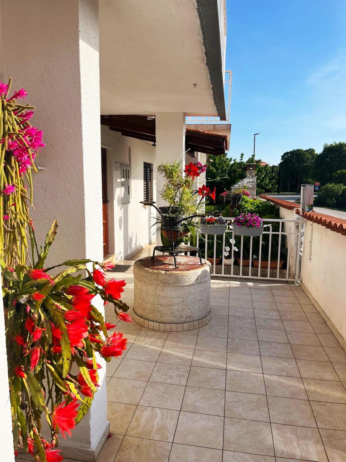 Apartments Ljubica Rovinj Zewnętrze zdjęcie